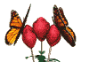 flowersWHT.gif (7199 bytes)